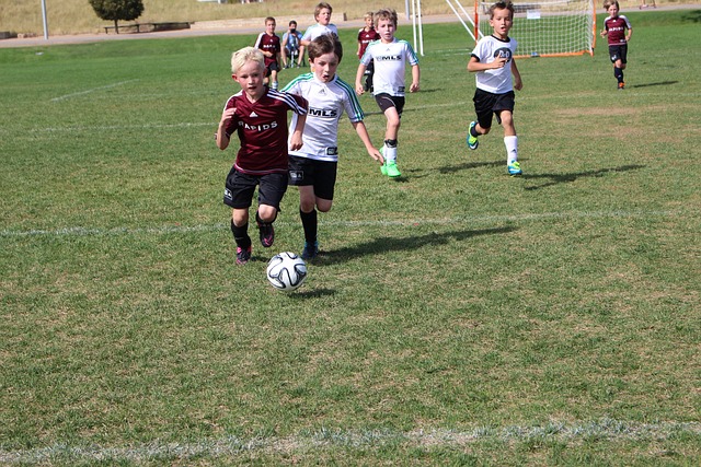 要组成部分 要组成部分