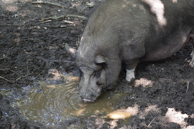 斯特林的職 斯特林的職