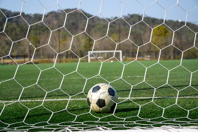 還會評估球 還會評估球