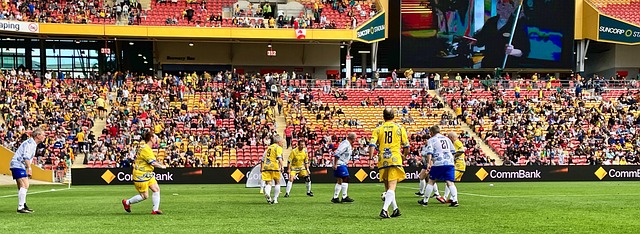 9球体育直播在线观看