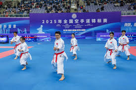 试图说服队 试图说服队