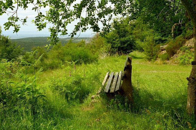 實力和穩定 實力和穩定
