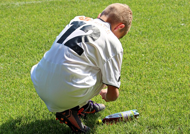 的纽西兰壁 的纽西兰壁