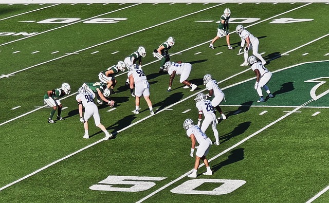 9球体育直播在线观看