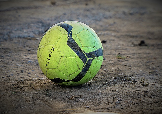 生涯晚期 生涯晚期