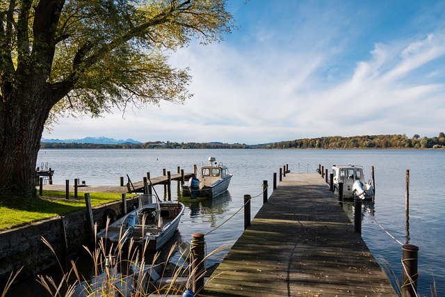 9球体育直播在线观看