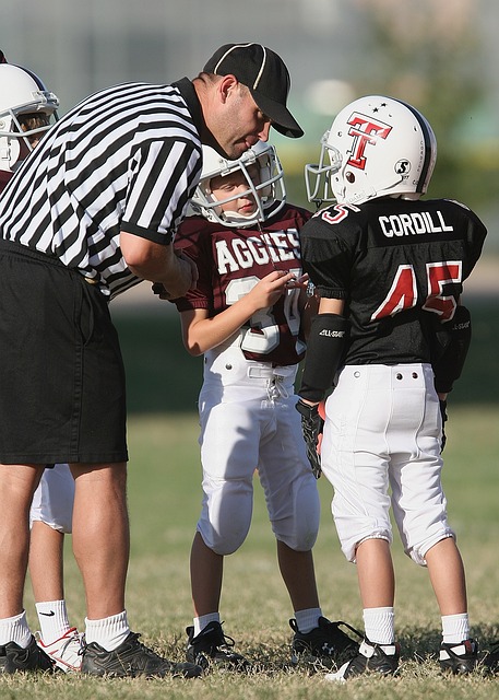 罗伊斯和莱 罗伊斯和莱