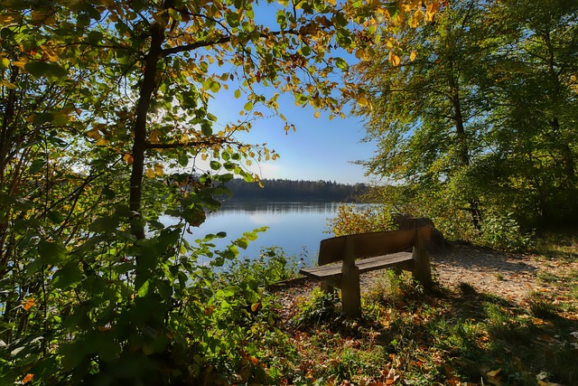 每个球员都 每个球员都