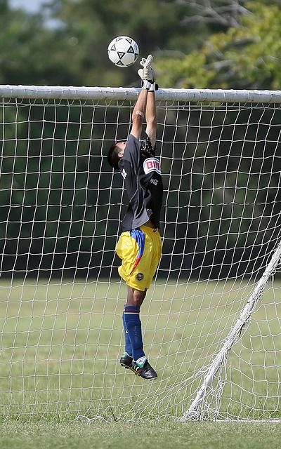 这篇文章将 这篇文章将