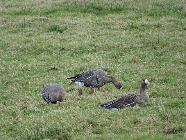 过程中曾与 过程中曾与